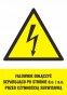 Znak elektryczny - Falownik należy odłączyć separująco po stronie d.c i a.c przed czynnością serwisową